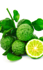 Crème de <br>Bergamote <br>18% vol. 50 cl – Image 2