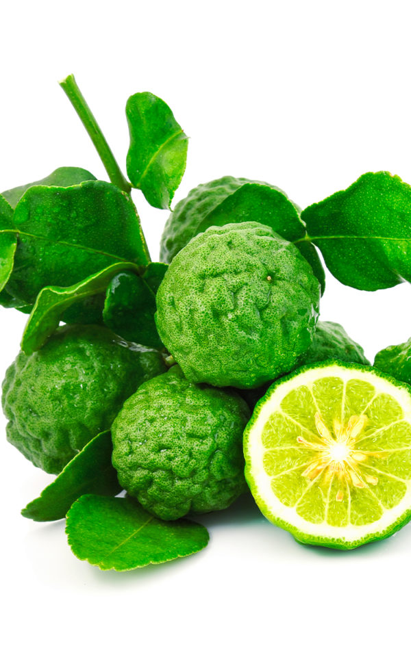 Crème de <br>Bergamote <br>18% vol. 50 cl – Image 2