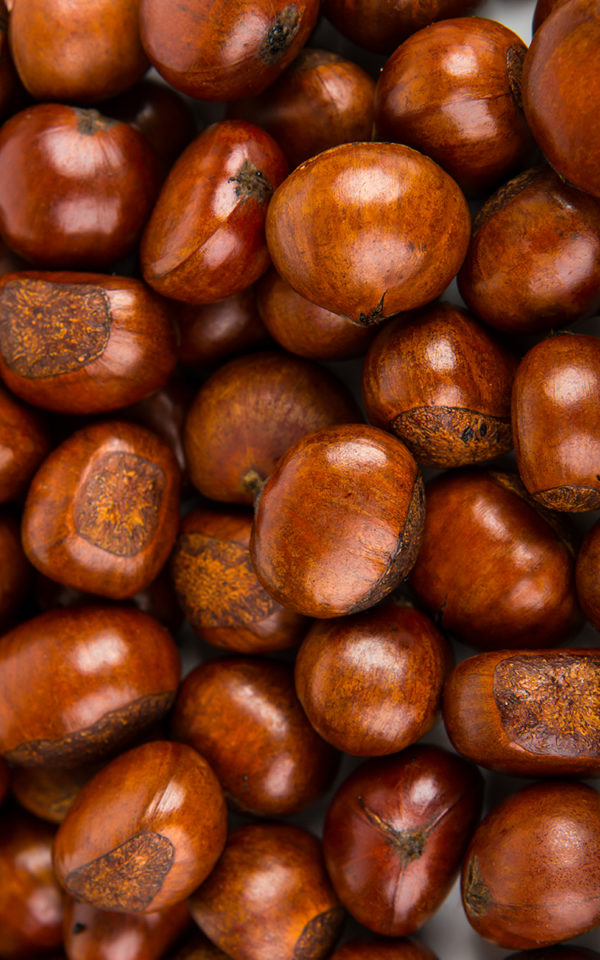 Liqueur de<br>Chataigne <br>18% vol. 50 cl – Image 2