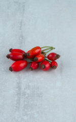 Eau de Vie Églantine<br> obtenue par macération et distillation <br> 43% vol. 50cl – Image 2