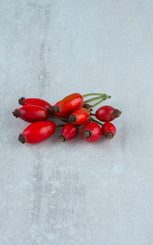 Eau de Vie Églantine<br> obtenue par macération et distillation <br> 43% vol. 50cl – Image 2