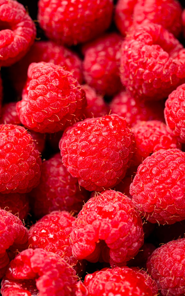 framboise Framboise <br> Liqueur <br> 25% vol. Bahia 35 cl – Image 2