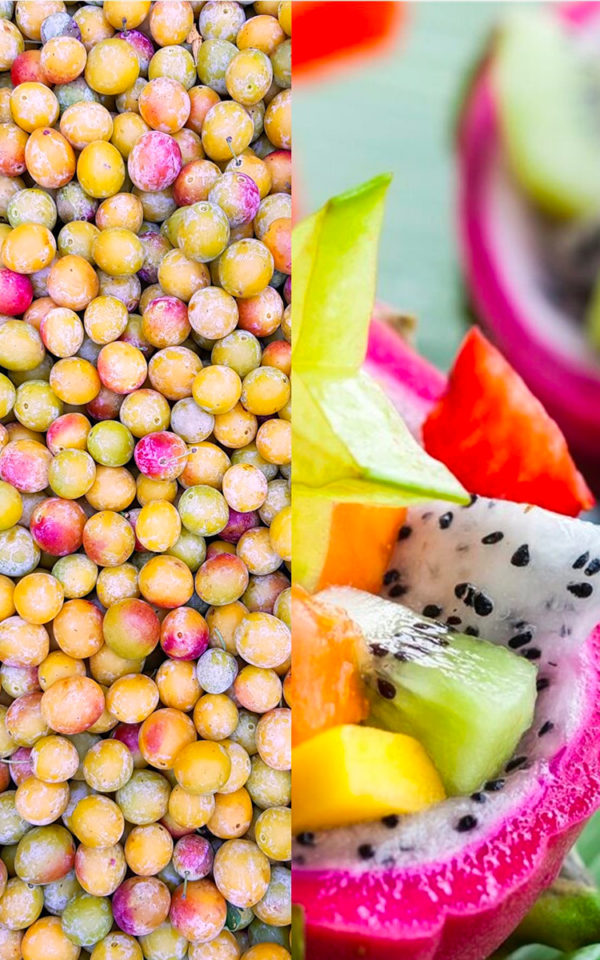 jean-de-nol Jean de Nol<br>Liqueur <br> 18% vol. 70cl – Image 2