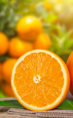 Triple Sec<br> Liqueur<br>40% vol. 50 cl – Image 2