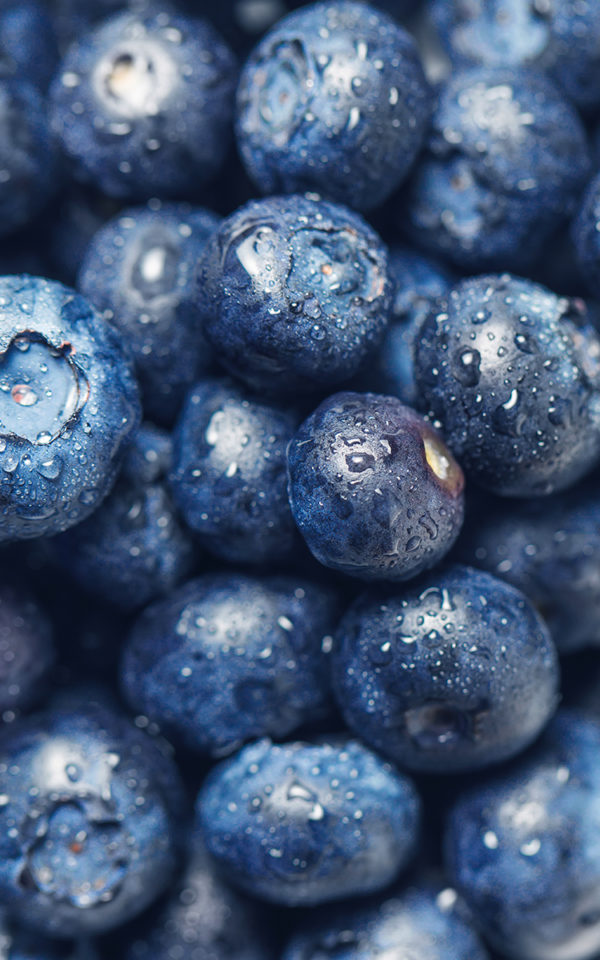 myrtille Eau de Vie Myrtille<br> obtenue par macération et distillation <br>43% vol. 50cl – Image 2