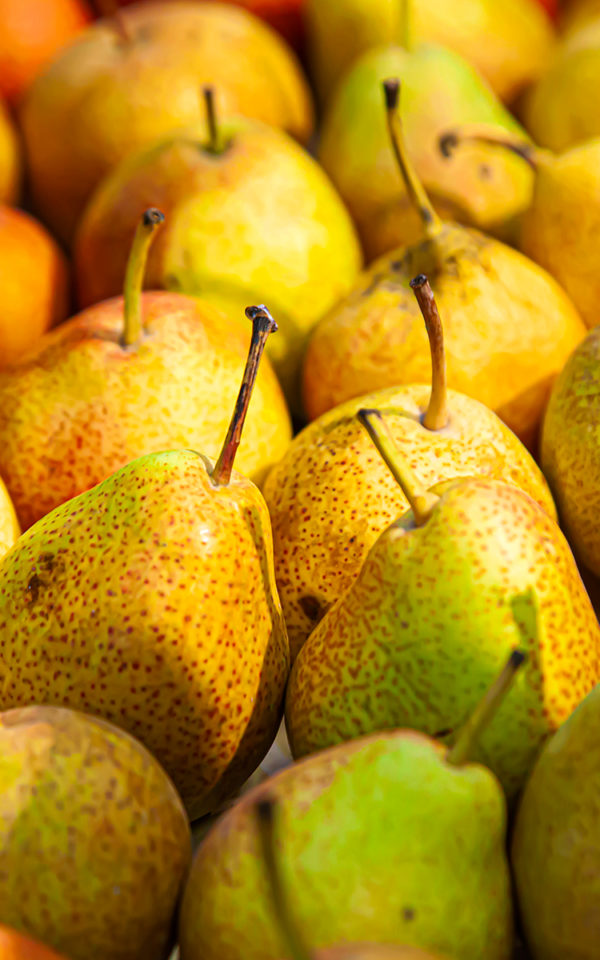 poire Poire William<br>43% vol.<br> magnum 150 cl – Image 2