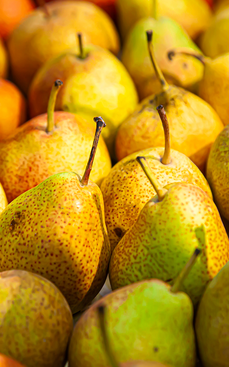 La poire Williams, tout ce qu'il faut savoir - Mon Marché