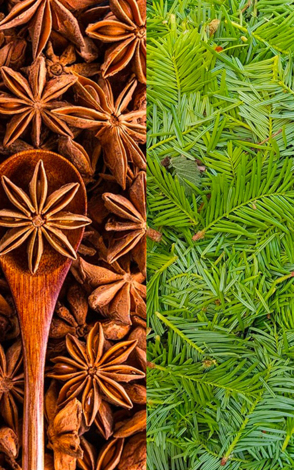 pastisapin Pastisapin® <br>45% vol. <br> 50cl – Image 2