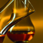 2 verres <br>Tulipes